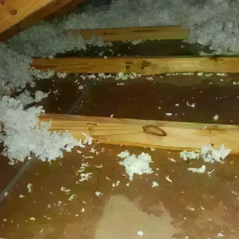 Attic Water Damage in Texas County, MO