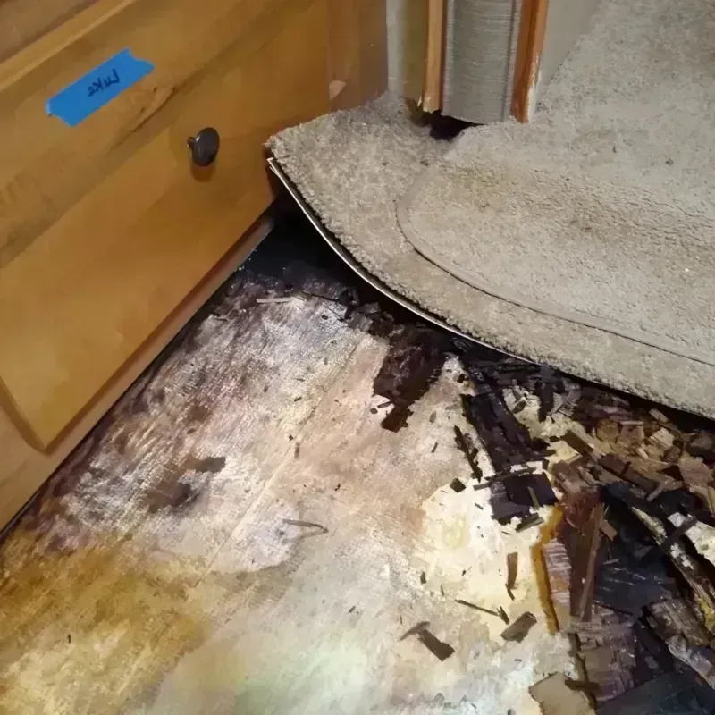 Wood Floor Water Damage in Texas County, MO